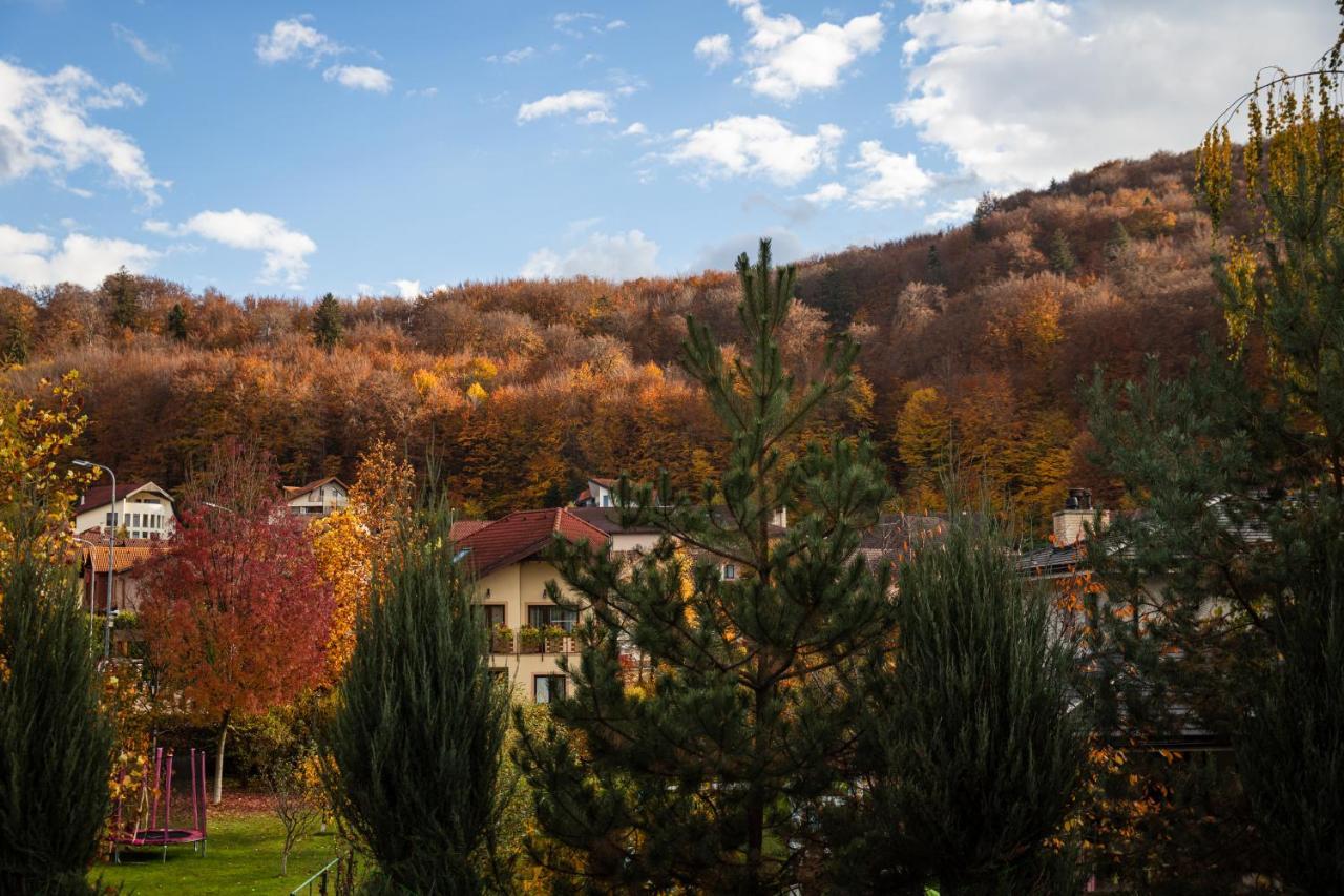 Jungle Family Villa Near Park Aventura,Lake,Zoo Braşov Dış mekan fotoğraf