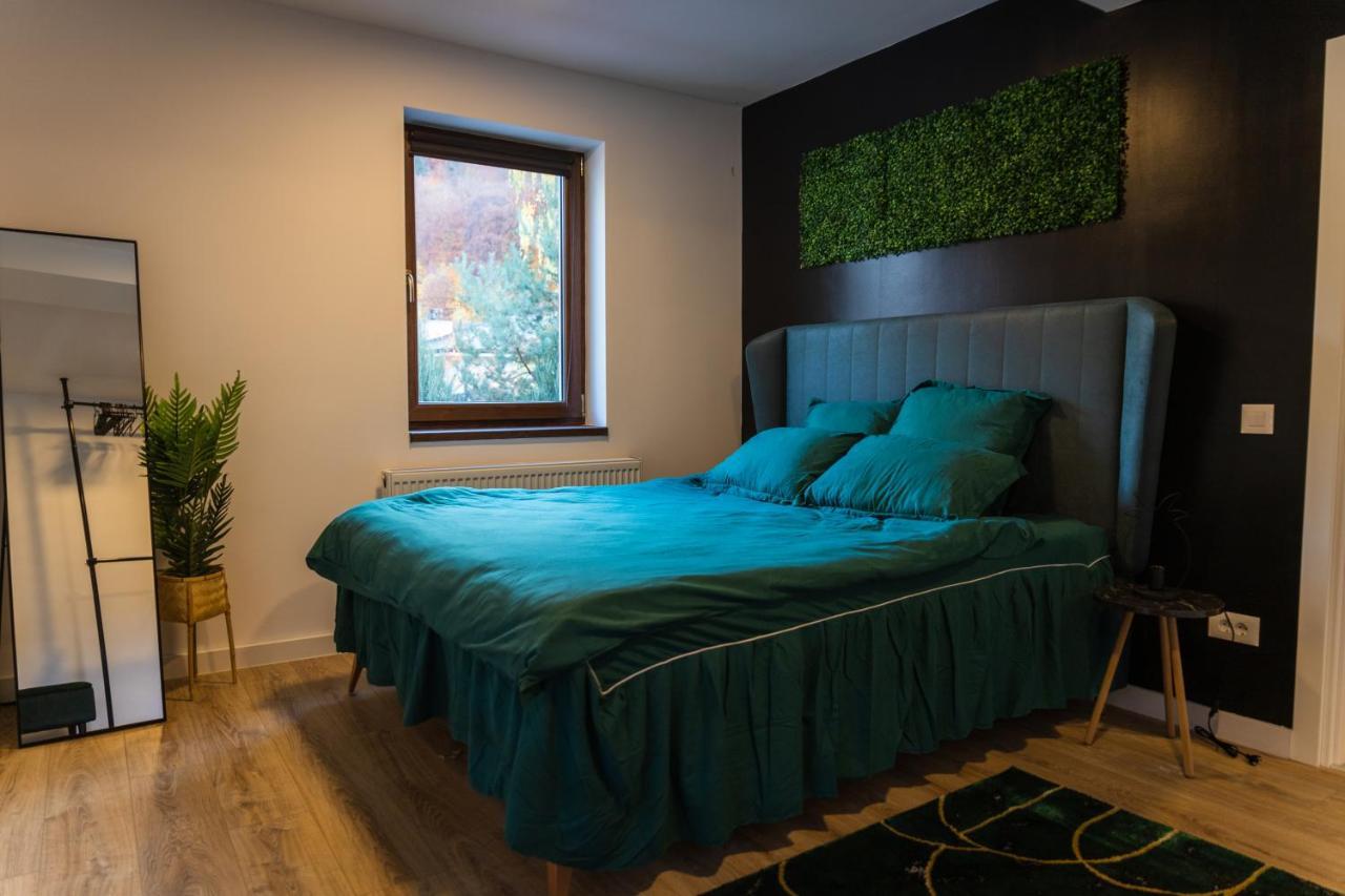Jungle Family Villa Near Park Aventura,Lake,Zoo Braşov Dış mekan fotoğraf